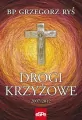Drogi krzyżowe 2007-2012 - tantis.pl