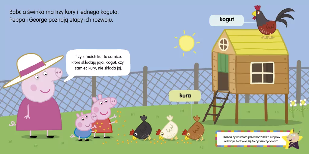 Świnka Peppa. Uczę się z Peppą. Peppa i kurczątka - tantis.pl