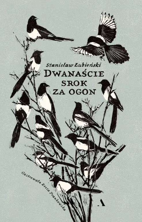 Dwanaście srok za ogon - tantis.pl