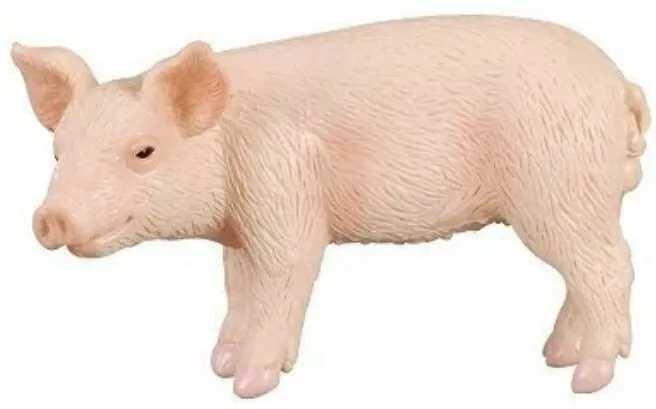 Prosię stojące - tantis.pl