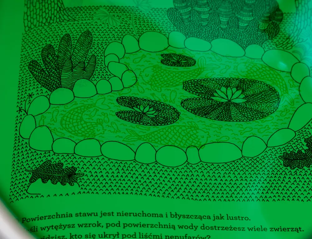 Co kryje las? - tantis.pl