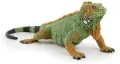 Iguana - tantis.pl