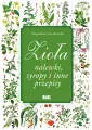 Zioła, nalewki, syropy i inne przepisy - tantis.pl