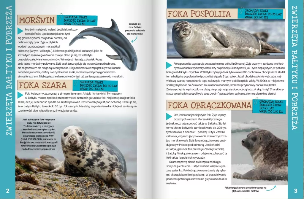 Zwierzęta Polski - tantis.pl