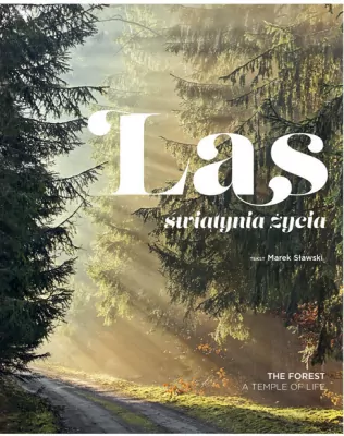 Las. Świątynia życia