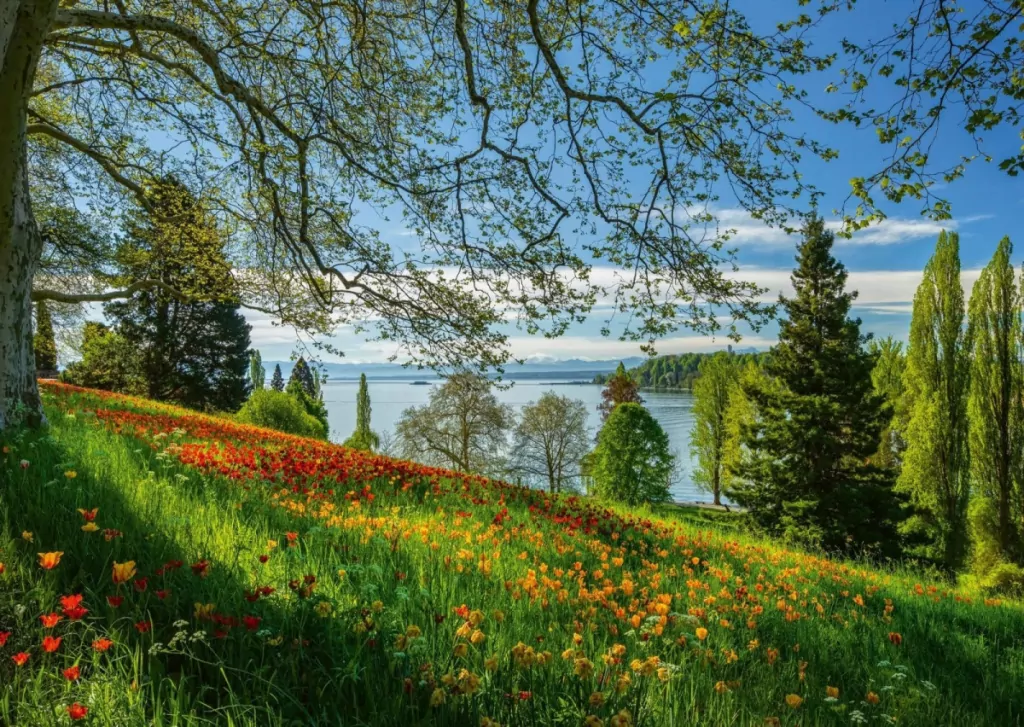 Puzzle PQ 1000 Wyspa kwitnących tulipanów G3 - tantis.pl