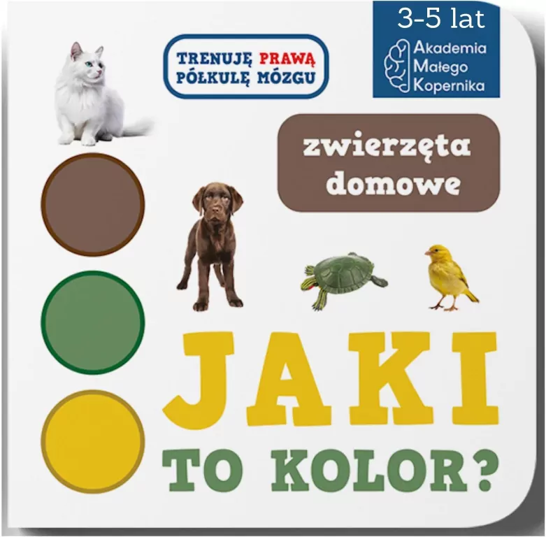 Jaki to kolor? Zwierzeta domowe - tantis.pl