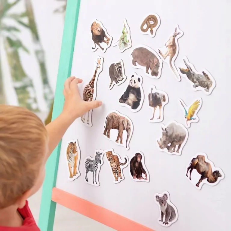 Zestaw magnesów dla dzieci. ZOO - tantis.pl