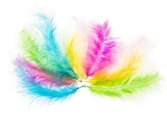 Piórka indycze 10-15cm pastelowe