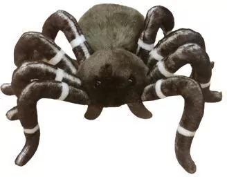 Pająk 25cm - tantis.pl