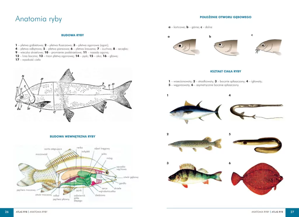 Atlas ryb polskich - tantis.pl