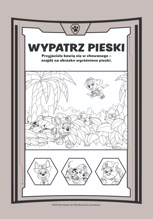 Psi Patrol. Ekstrazdrapka. Zespół w akcji - tantis.pl