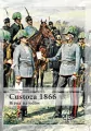 Custoza 1866. Bitwa narodów - tantis.pl