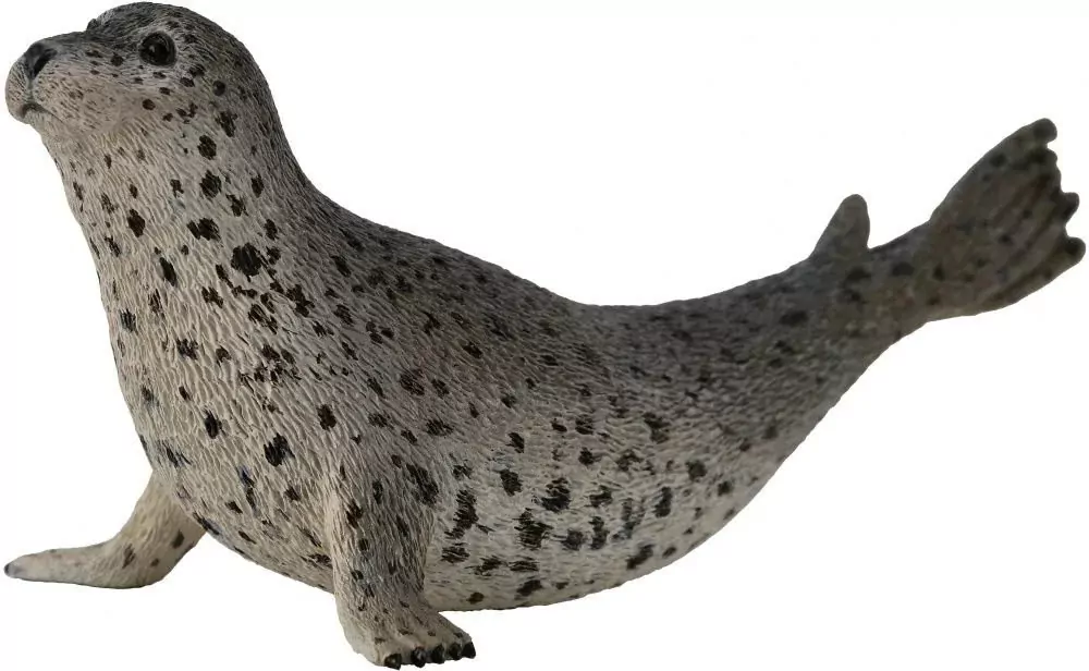 Collecta. Foka pstra - tantis.pl