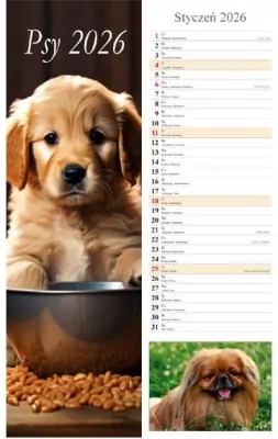 Kalendarz 2026 ścienny pasek Psy