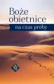 Boże obietnice na czas próby - tantis.pl