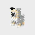 Mini Waffle - Pocket Pets Puppies - Sheltie - tantis.pl