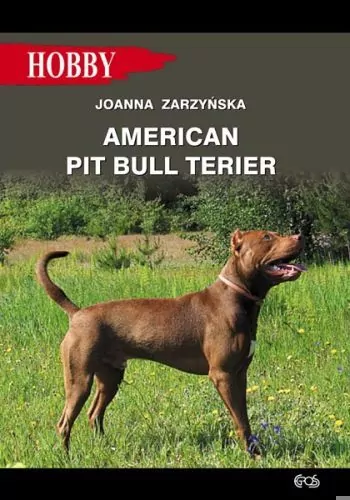 American pit bull terier - tantis.pl