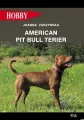 American pit bull terier - tantis.pl