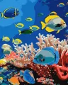 Malowanie po numerach - Życie oceanu 40x50cm - tantis.pl