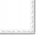 Serwetki Komunia srebrna ramka 33x33cm 20szt - tantis.pl