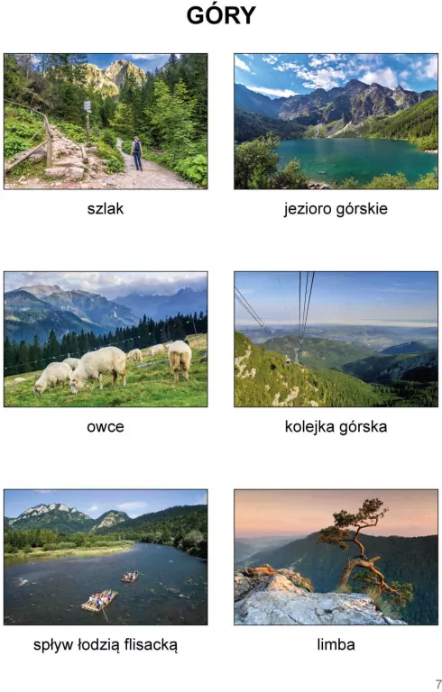 Mój rok. Podręcznik - tantis.pl