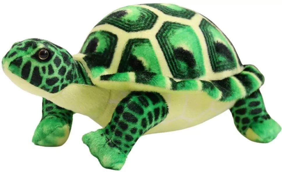 Maskotka Żółw Przytulanka zielony 25cm - tantis.pl