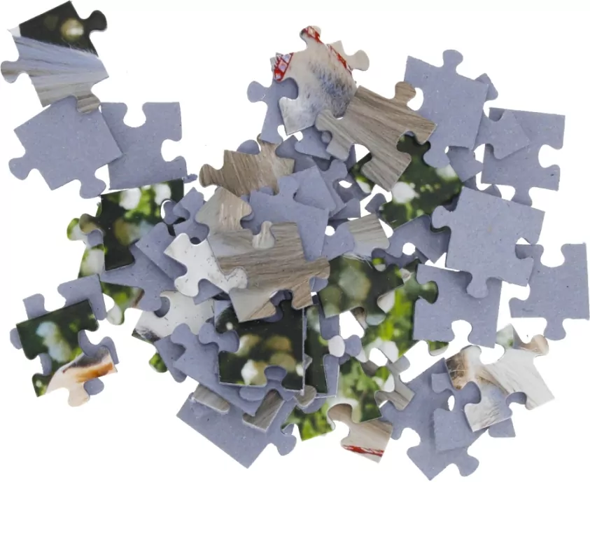Puzzle 54 mini. Świat koni 3 - tantis.pl