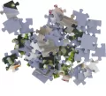 Puzzle 54 mini. Świat koni 3 - tantis.pl