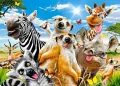 Puzzle 260 African Selfie CASTOR - tantis.pl