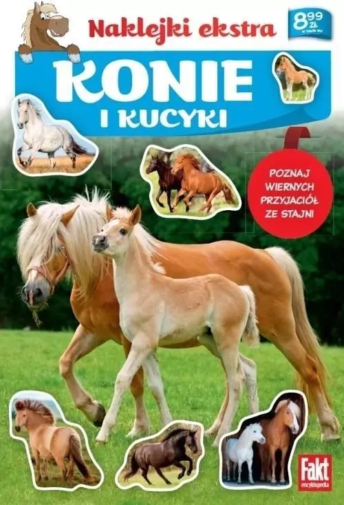 Konie i kucyki - tantis.pl