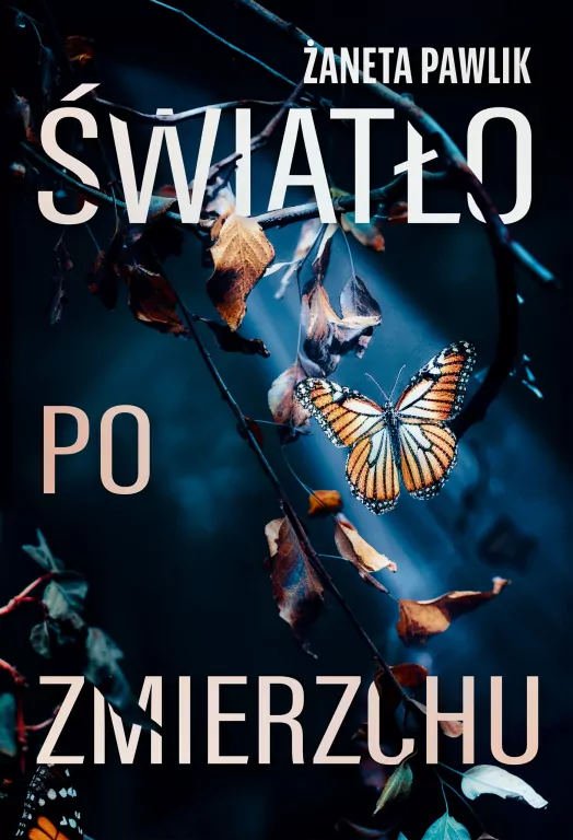 Światło po zmierzchu - tantis.pl