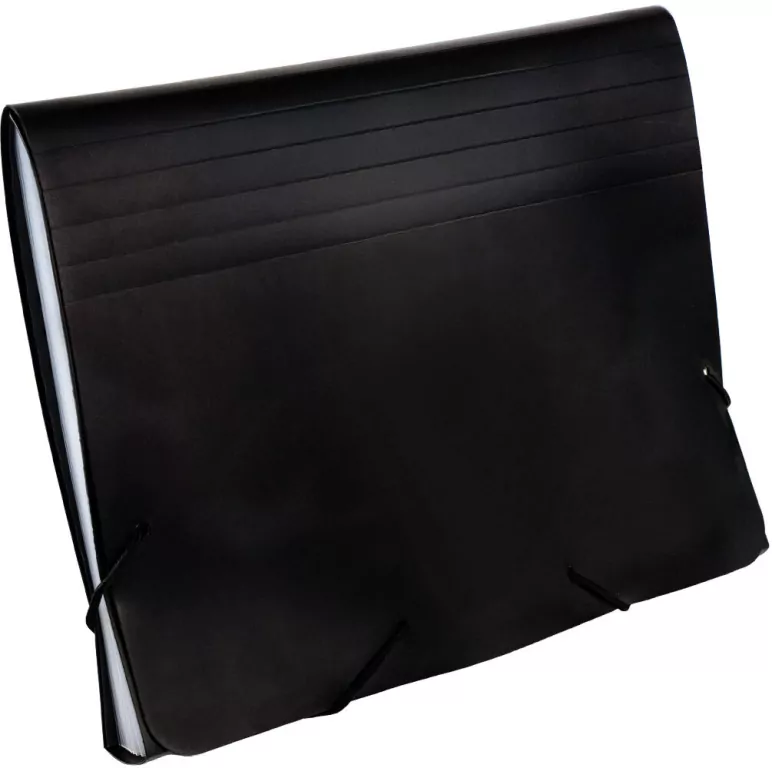 Teczka z przegródkami A5 9115C czarna GRAND - tantis.pl
