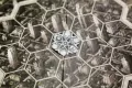 Neuroshima Hex 3.0: Smart. Dodatek do gry - tantis.pl