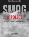 Smog w Polsce. Przyczyny, skutki, przeciwdziałanie - tantis.pl