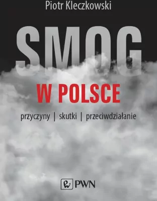 Smog w Polsce. Przyczyny, skutki, przeciwdziałanie