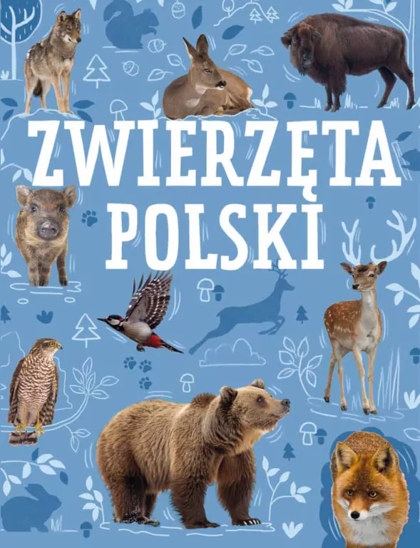 Zwierzęta Polski - tantis.pl