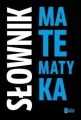 Słownik. Matematyka - tantis.pl