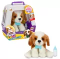 Mój prawdziwy szczeniaczek Łatek. Little Live Pets - tantis.pl