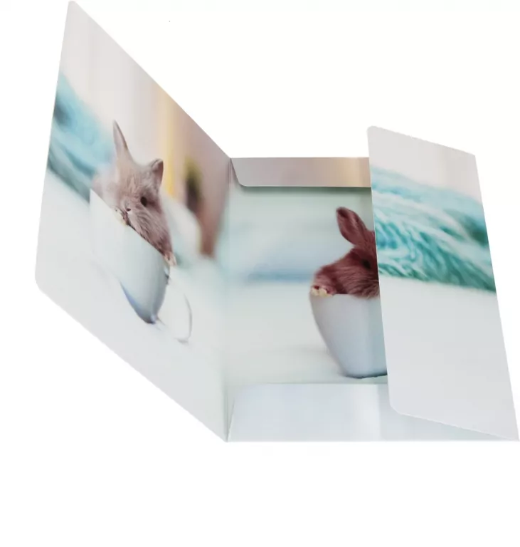 Teczka z gumką A4 Królik mix - tantis.pl