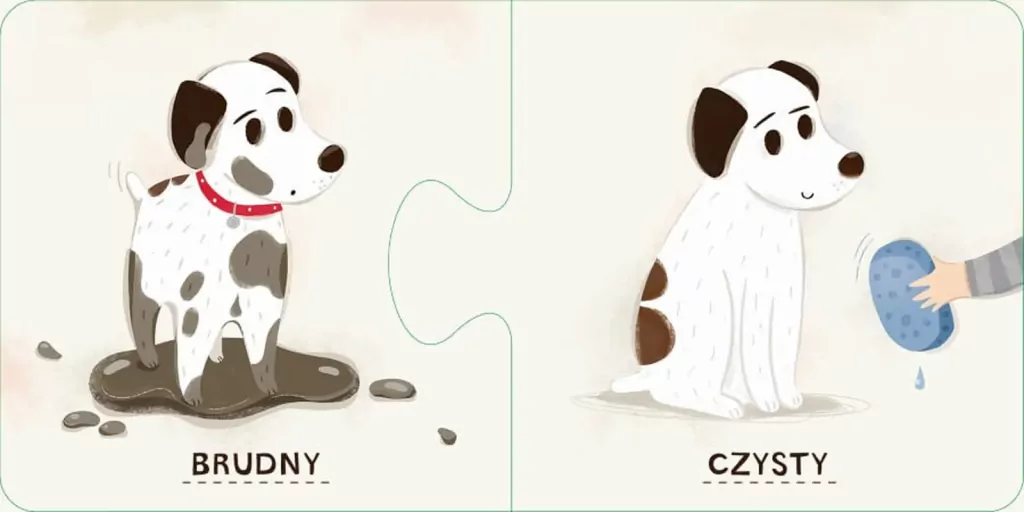 Pucio. Przeciwieństwa - tantis.pl