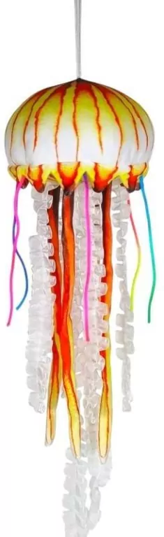 Meduza żółta - tantis.pl