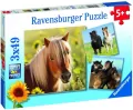 Puzzle 3x49. Konie - tantis.pl
