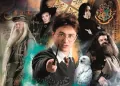 Puzzle 500 Compact Harry Potter - tantis.pl