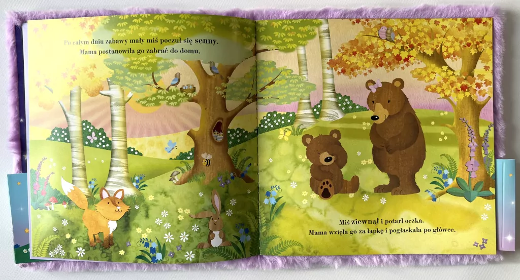 Dobranoc, Misiu. Czytanka przytulanka - tantis.pl