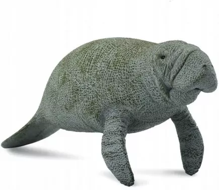Collecta. Figurka. Słoń morski - tantis.pl