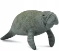 Collecta. Figurka. Słoń morski - tantis.pl