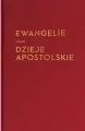 Ewangelie i Dzieje Apostolskie. Wielkie Litery - tantis.pl