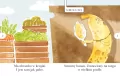 Samotny banan. Czytam sobie Eko. Poziom 1 - tantis.pl
