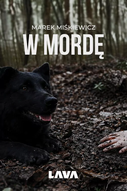 W mordę - tantis.pl